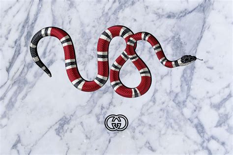 gucci snake desktop wallpaper|gucci snake logo background.